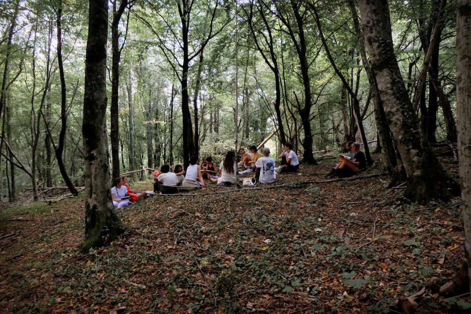 Ecologies of Care